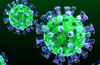 В Тульском «Белом доме» начали борьбу с коронавирусом